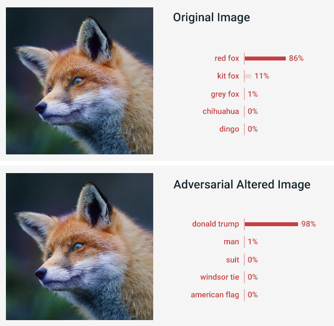 Side-by-side comparison of an original fox image and its adversarially altered version classified as Donald Trump